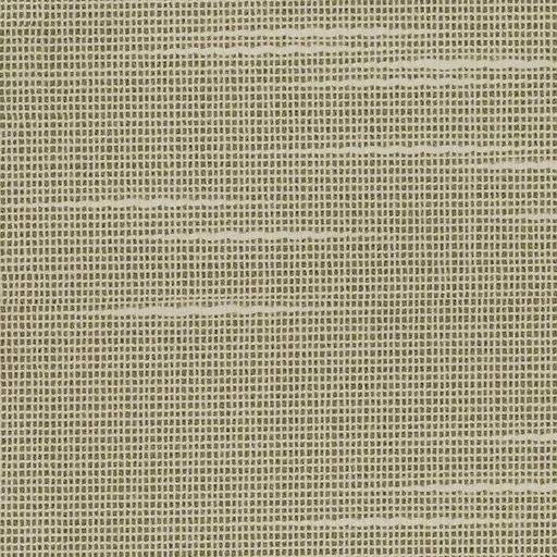 1000159.webp