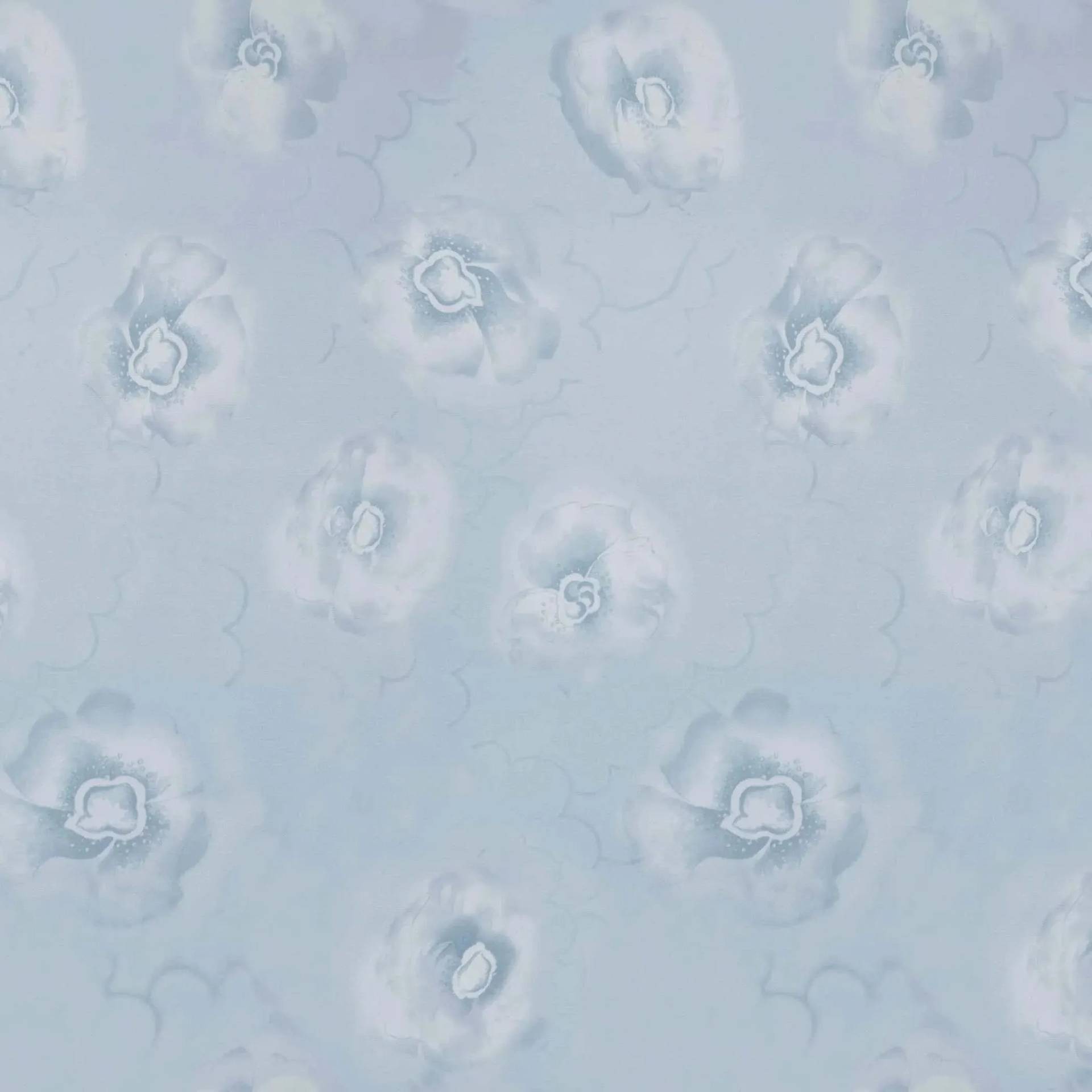 1017797.webp