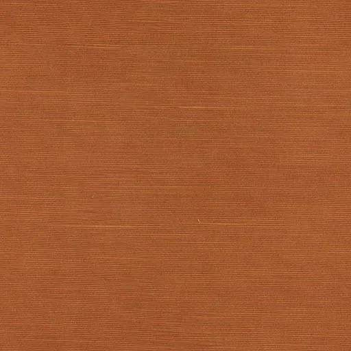 1225238.webp