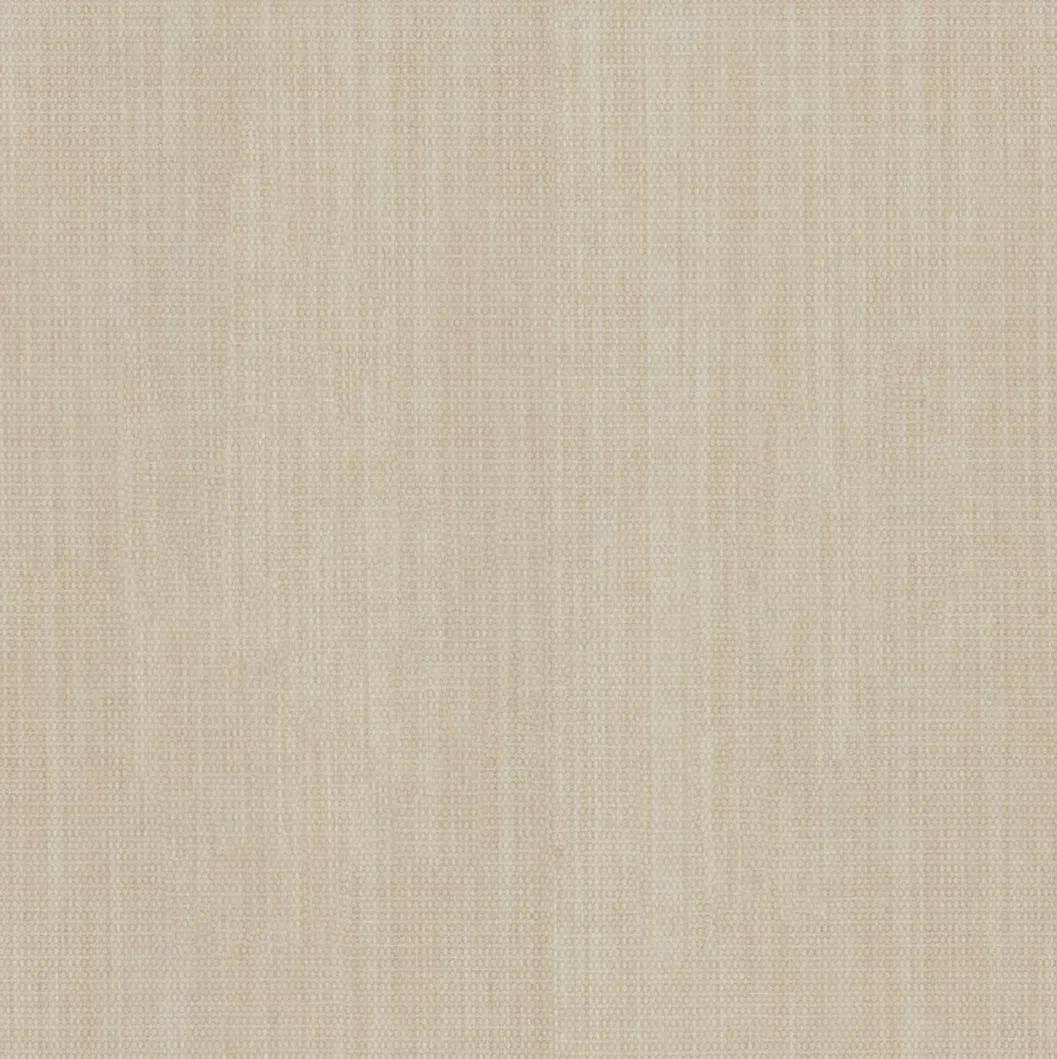 1257246.webp