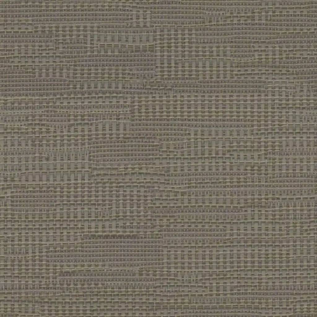 1763378936_1bee88da0135684f5fd2.webp