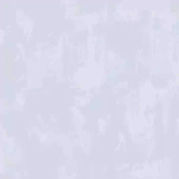 1786599337_28a001708d0a1776eab1.webp