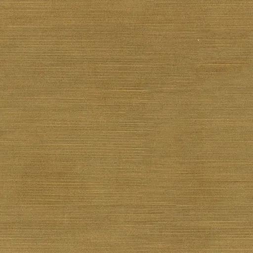 1225241.webp