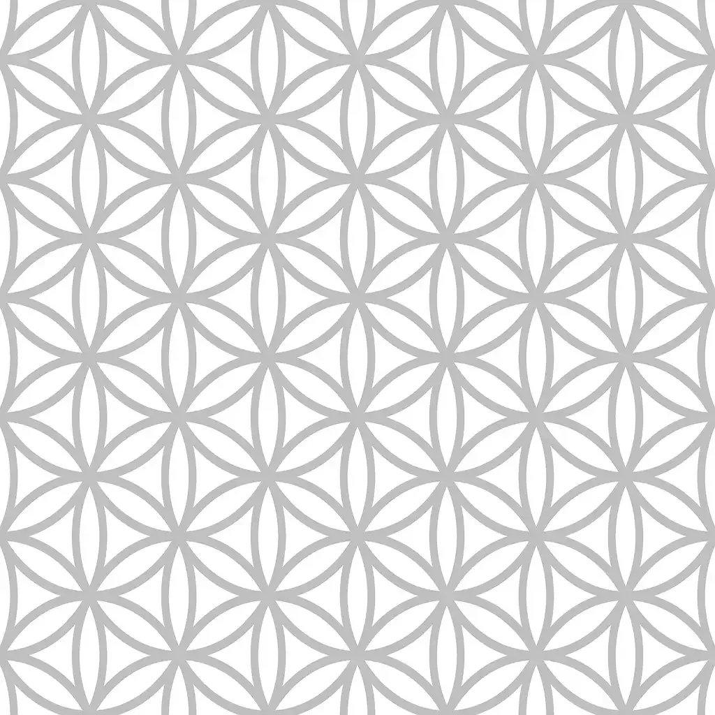 1352576.webp