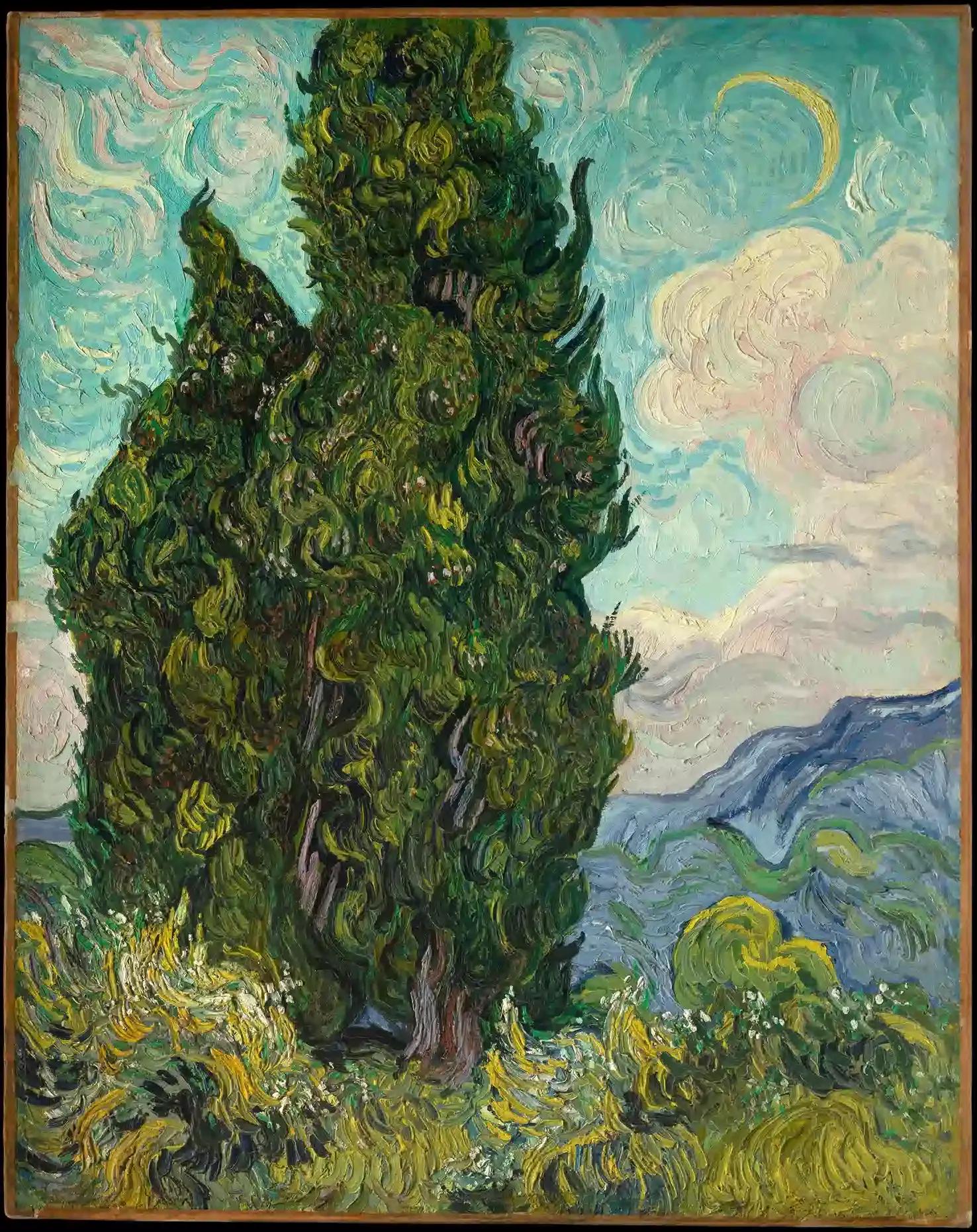1740399266_e018e5ca76e84779cc0c.webp