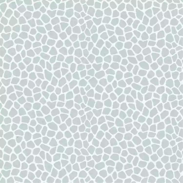 1786085582_989a8e4c37bcc5eea695.webp